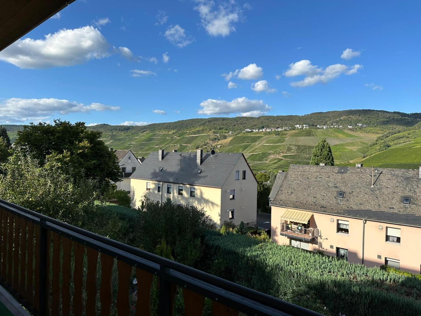 Panoramaapartment Wine & Castle Appartement *