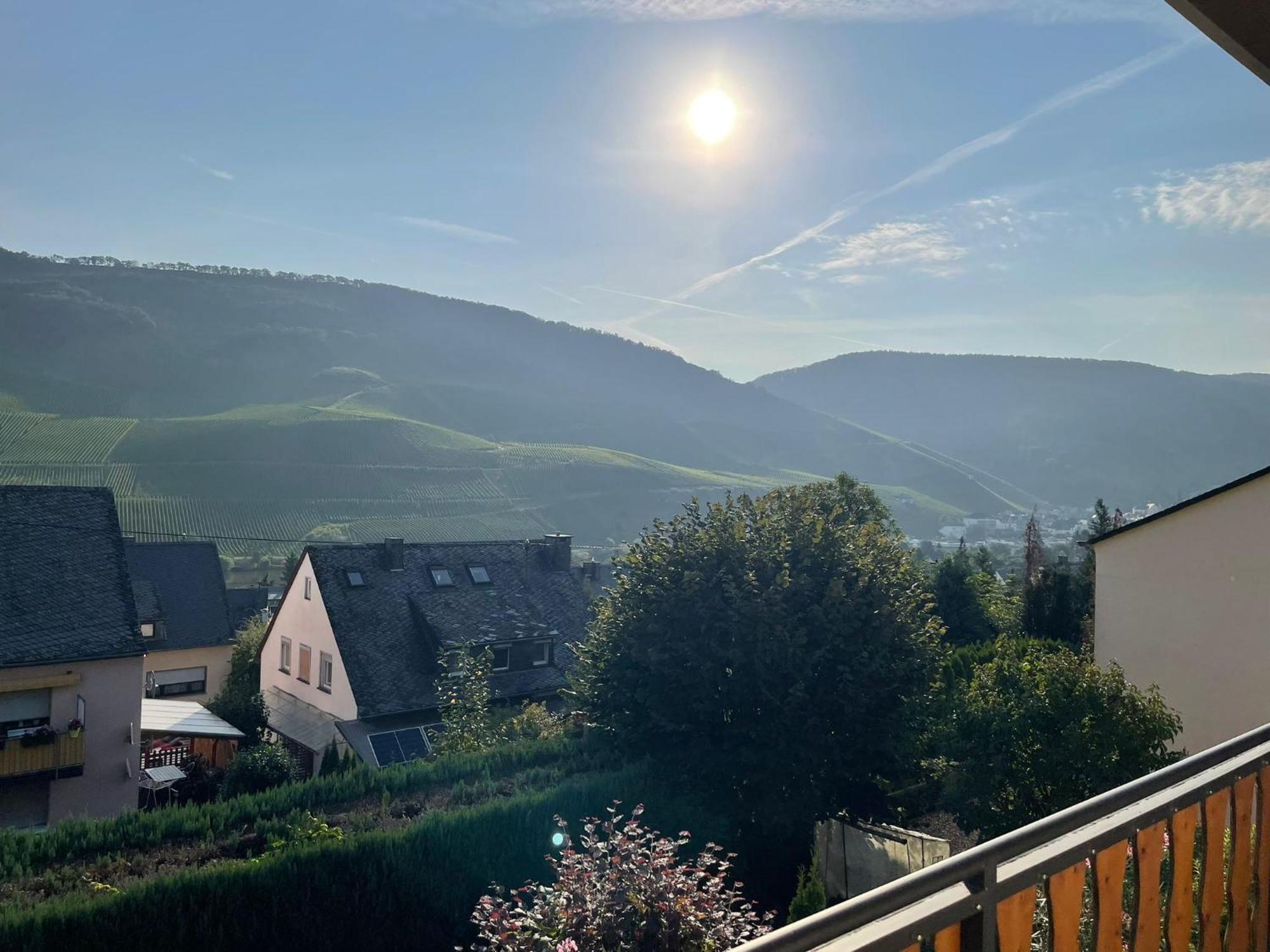 Panoramaapartment Wine & Castle * Commune fusionnée de Bernkastel-Kues